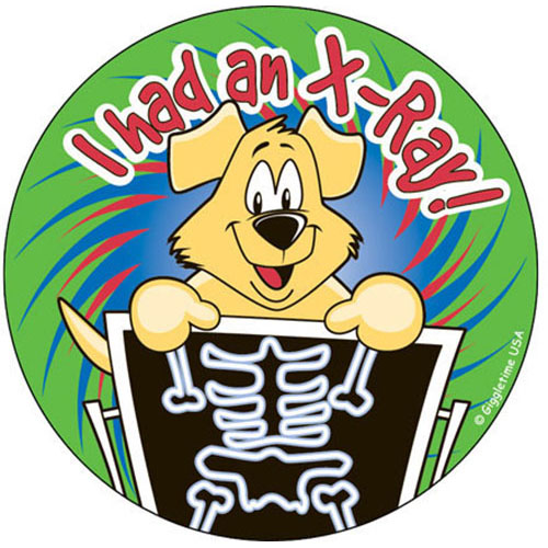 i-had-an-x-ray-sticker-giggletimetoys