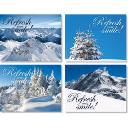 Snow Refresh Recall Cards
