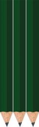 Golf Green Golf Pencils - Hexagon - Blank